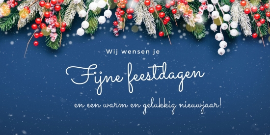 fijnefeestdagen1733396029